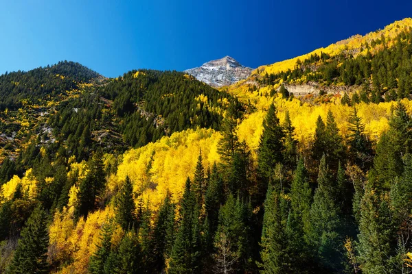 Barevný podzim v Crystal Mill City, colorado — Stock fotografie