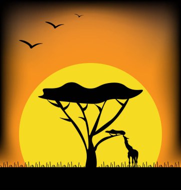 Afrika görüntü günbatımı