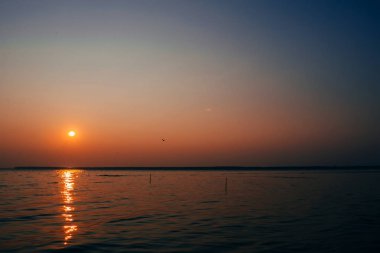 Turuncu Gökyüzü ve uçan martı ile nehir üzerinde gündoğumu