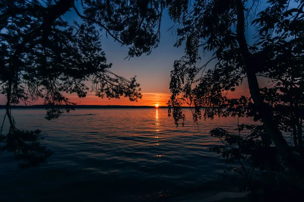 Beautiful sunset on sea with sun and blue sky through branches of trees on beach — Stock Photo, Image