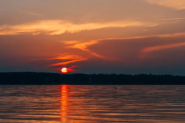 Tramonto sull'acqua con il sole rosso e il cielo arancione con sagome di uccelli volanti — Foto Stock