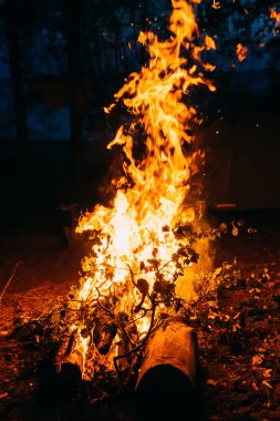 yaz gecesi ahşap gece kamp ateşi
