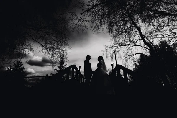 Silhouette di coppia innamorata sposa e sposo il giorno del matrimonio — Foto Stock