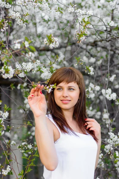 Ragazza bruna in abito bianco in primavera in fiore di ciliegio — Foto Stock