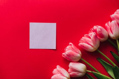 boş kağıt etiket ile kırmızı arka plan üzerinde pembe Lale çiçek buketi