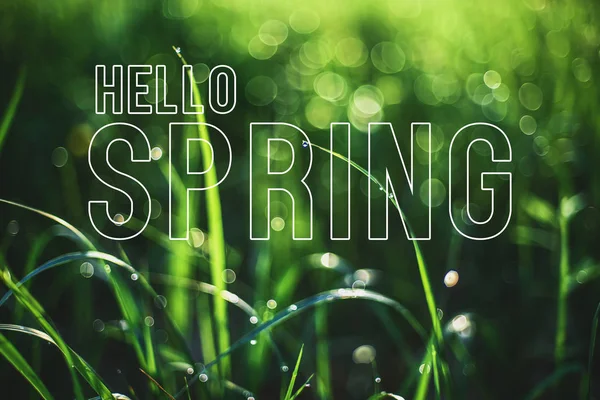 Pozdrav s nápisem Ahoj Jaro. Zelená tráva s kapkami rosy — Stock fotografie