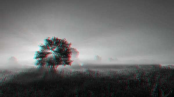 Árbol solitario en un campo al amanecer con los rayos del sol en verano — Foto de Stock