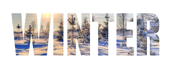 Inscription winter on the background of a frosty day with Christmas trees and the sun — Stock Photo, Image
