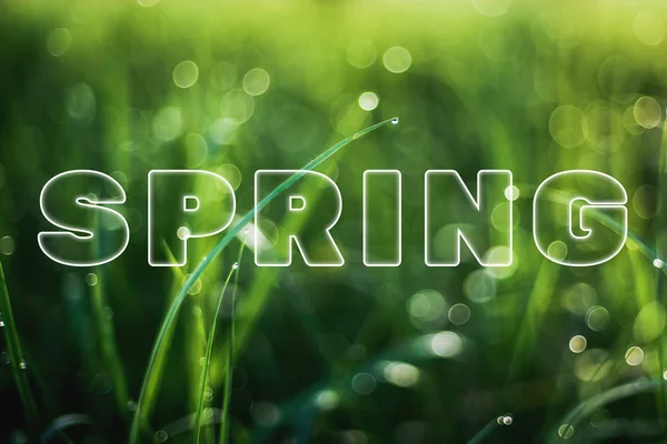 Greeting card with the inscription Spring. Green grass with dew drops — Stock Photo, Image