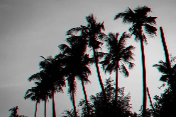 Silhuetas de palmeiras no fundo de um céu quente laranja no verão — Fotografia de Stock