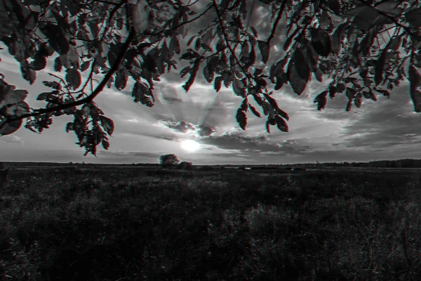 Paisaje otoñal a través de las ramas de un árbol en el campo con una puesta de sol — Foto de Stock