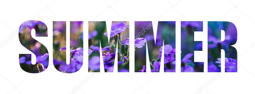 Text Summer on a background of purple flowers. The inscription isolated