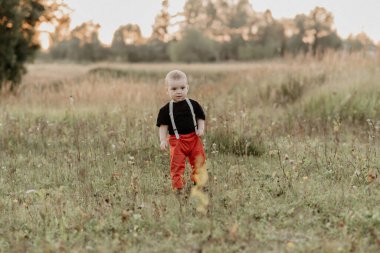 small child boy walks on the field in the summer