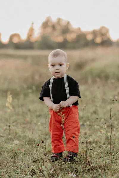 Kisfiú áll a mezőn a füvön nyáron — Stock Fotó