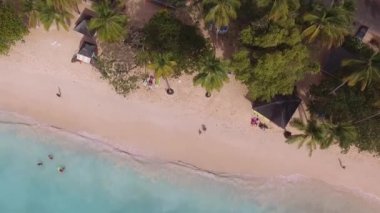 İskele, okyanus ve ağaçlar havadan görünümü