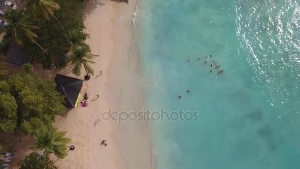 Junto a la playa, embarcadero e isla de imágenes de aviones no tripulados — Vídeos de Stock