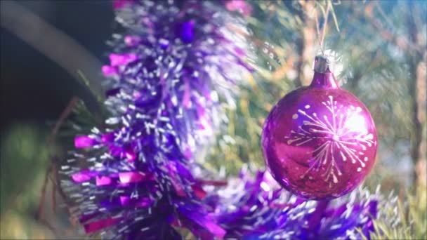 Arbre de Noël sur le fond — Video