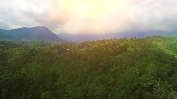 Zdjęcie lotnicze drone, piękny krajobraz, w Indonezji. — Wideo stockowe