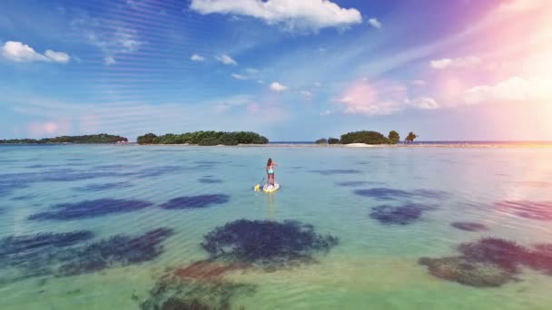 Kvinna paddel ombordstigning vid solnedgången. Flygfoto — Stockvideo