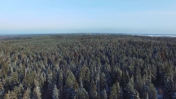 Satellitvyn av snötäckta vintern skog i tid solnedgången på julafton. — Stockvideo