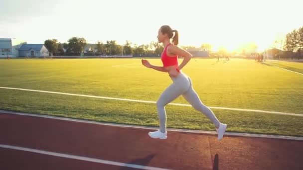 Hermosa joven ejercicio de correr y correr en pista de atletismo en el estadio al amanecer. Video de estilo cinematográfico . — Vídeos de Stock