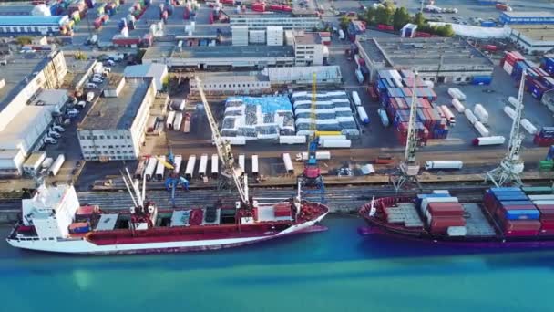 Vista aerea della nave container in import export e business logistic, Con gru, Trade Port Vista aerea, Trasporto acqua, Internazionale, Shell Marine, trasporto — Video Stock