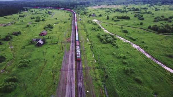 Venkovská krajina s kontejnerovým vlakem projíždějícím krajinou — Stock video