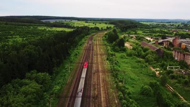 Widok z lotu ptaka na pociąg w lesie — Wideo stockowe