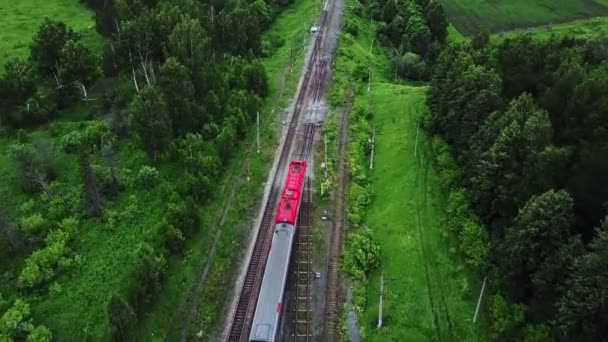 Luchtfoto van de trein in het bos — Stockvideo