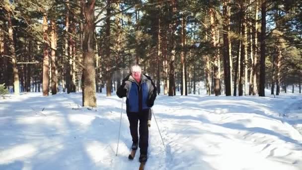 Lassú mozgás. Érett férfi, Télen síelés az erdőben. — Stock videók