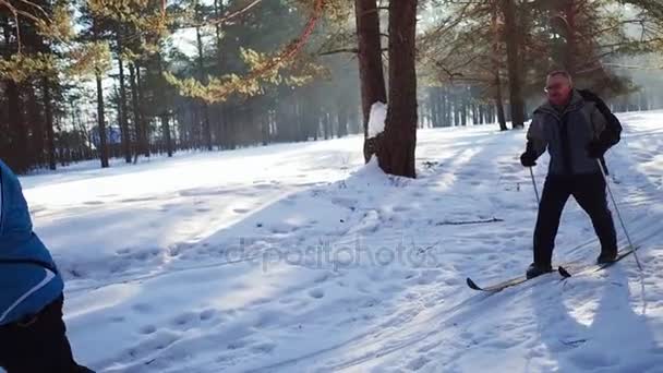 Slow-motion. Ouder paar skiën in het bos in de winter. — Stockvideo