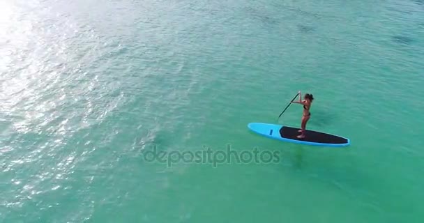 Aerial drone birds eye view of man exercising sup paddle board in turquoise tropical clear waters, Thailand — Stock Video