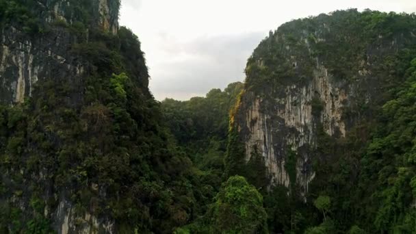 Antenn. Fantastisk filmisk stil video av enorma berg och regnskog i södra Thailand. Drone flygresa genom peak. Solen blossar bakom bergen. Två fåglar flyga nära quadrocopter. — Stockvideo