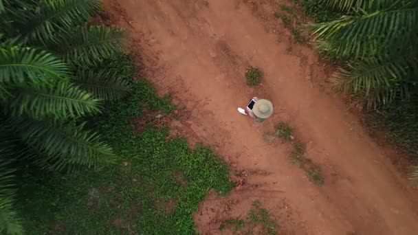 AERIAL. Камера быстро движется снизу вверх. Вид сверху, прямо над женщиной-фермером в шляпе, наблюдающей за своей фермой с табличкой. Пальмовая ферма Таиланда . — стоковое видео