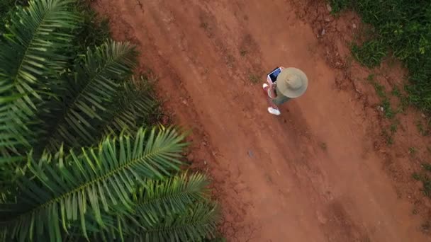 Luchtfoto. Camera na een vrouwelijke boer in de hoed met een tablet. — Stockvideo