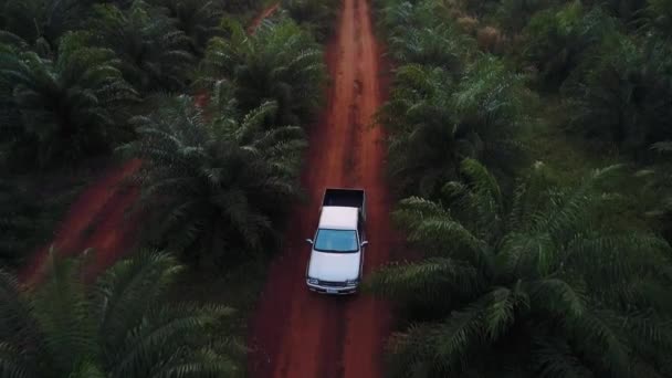 AERIAL. Top view of truck car driving on country road in the jungle in Thailand. — Stock Video