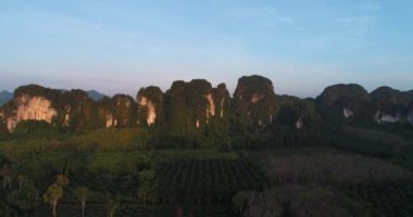 ayçiçekleri alanı ve tarım alanı ile taş dağ arka planda lopburi orta Tayland kireç