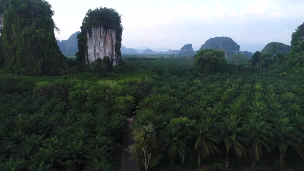 AERIALNE. Krajobraz Tajlandii Mountain Road. Lot nad palmami i drogą. — Wideo stockowe