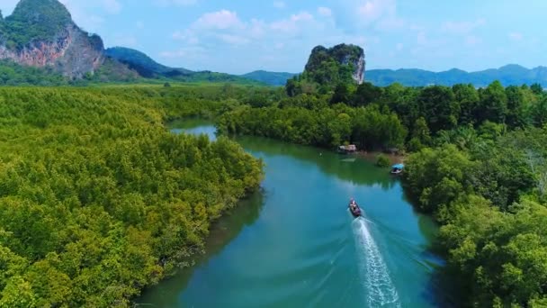 Thailand aerial landscape, drone view of river in green tropical forest, beautiful nature scenery of jungle wilderness — Stock Video