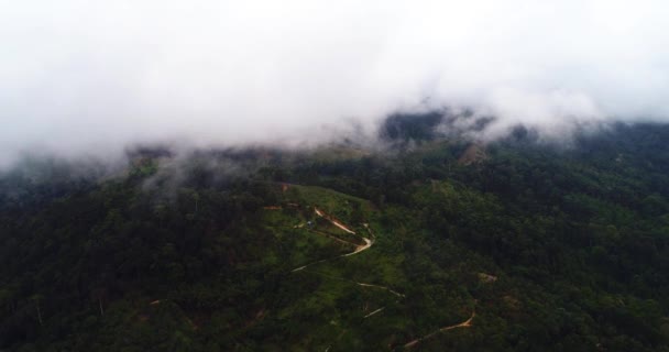 Antenne. Flug durch Wolken und Blick von oben auf die Landstraße und den Regenwald. — Stockvideo