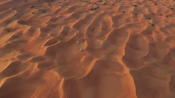 AERIAL. Two white jeeps travelling in sand desert. — 비디오