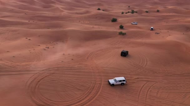 AERIAL. Kolonne weißer Autos in Sandwüste unterwegs. — Stockvideo