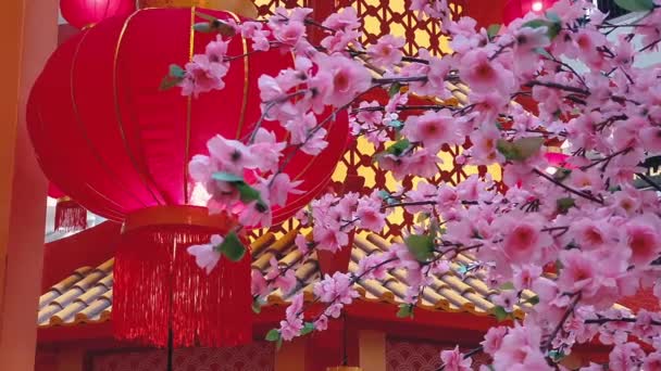 China new year decoration-Traditional lantern — Stok Video