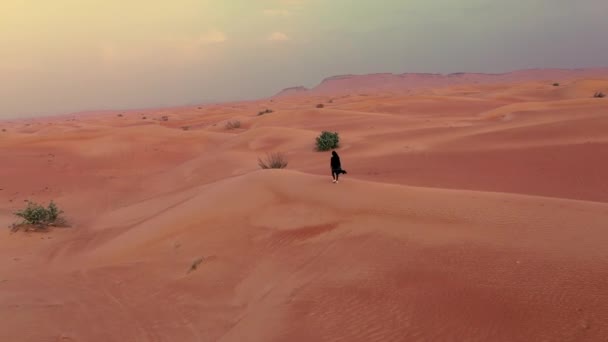 Légi. Fényképezőgép mozog körül nő hagyományos Emirati ruha séta a sivatagban a strog szél és naplemente. — Stock videók