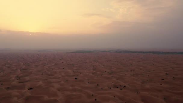 Pustynia Afryki Północnej, piaszczyste barkhany — Wideo stockowe