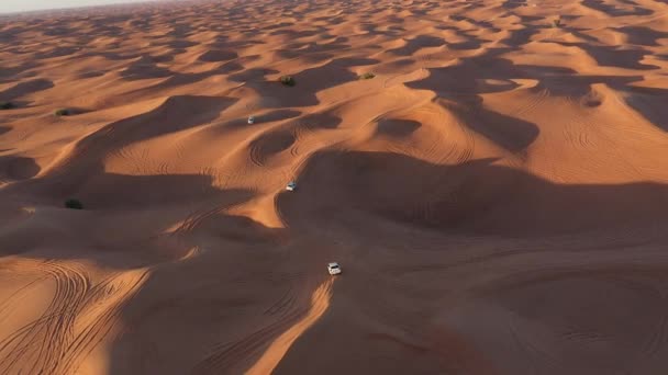 Aerial view of car riding in the desert. — 비디오