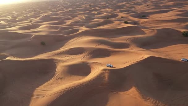砂漠での車に乗るの空中ビュー. — ストック動画