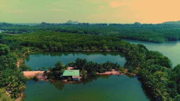 AÉRIAL. Top vue de style film de la rivière avec montagne sur le backrgound . — Video