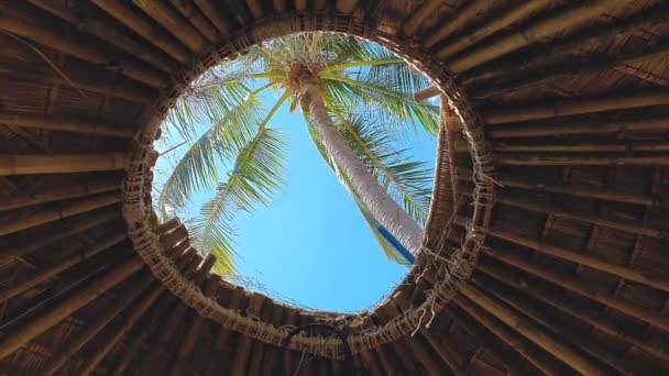 Vídeo conceito tropical. Palm view através da janela de telhados em bungalow praia . — Vídeo de Stock