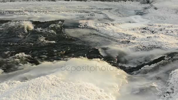 Strumień wody zimy lód, polynya — Wideo stockowe